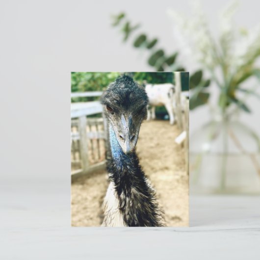 Angy Emu Postkarte (Stehend Vorderseite)