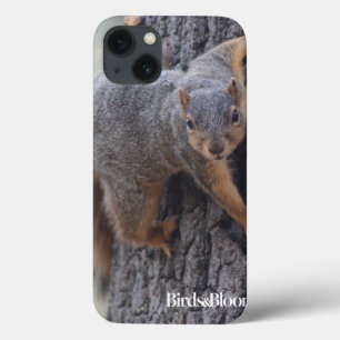 Anhaftendes Eichhörnchen Case-Mate iPhone Hülle