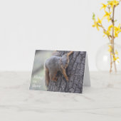 Anhaftendes Eichhörnchen Karte (Gelbe Blume)