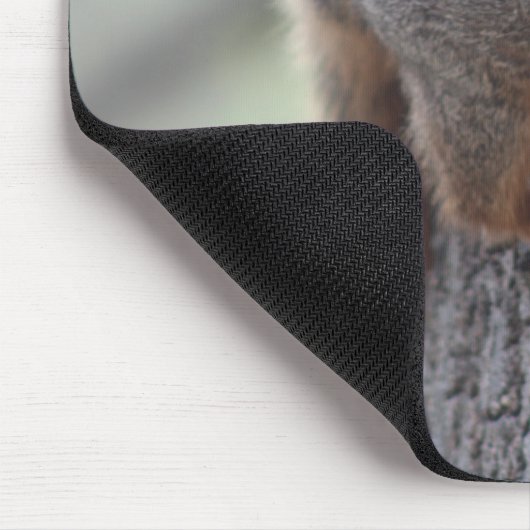 Anhaftendes Eichhörnchen Mousepad (Ecke)