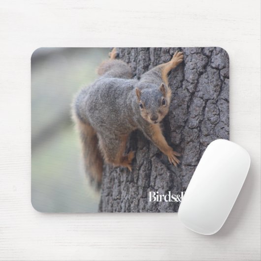 Anhaftendes Eichhörnchen Mousepad (Mit Mouse)