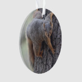 Anhaftendes Eichhörnchen Ornament (Vorderseite)