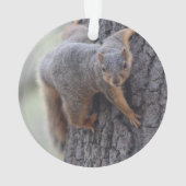 Anhaftendes Eichhörnchen Ornament (Rückseite)