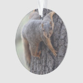 Anhaftendes Eichhörnchen Ornament (Vorderseite)