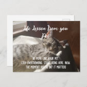 Anhalten Sie selbst daran, die Karte für Lebensläu (Vorne/Hinten)