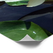 Anhalten/Sommer Teich Weiße Wasserlilie & Insekten Poster (Ecke)