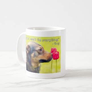 Anhalten und an allem schnuppern kaffeetasse