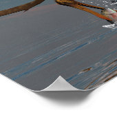 Anhang Poster (Ecke)