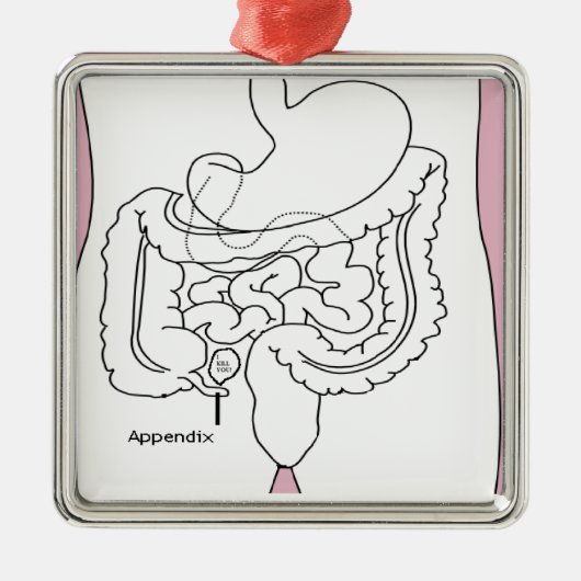 Anhang tötet you.png silbernes ornament (Vorne)