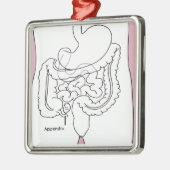 Anhang tötet you.png silbernes ornament (Links)