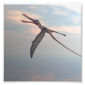 Anhang Urvogel Fotodruck (Vorne)