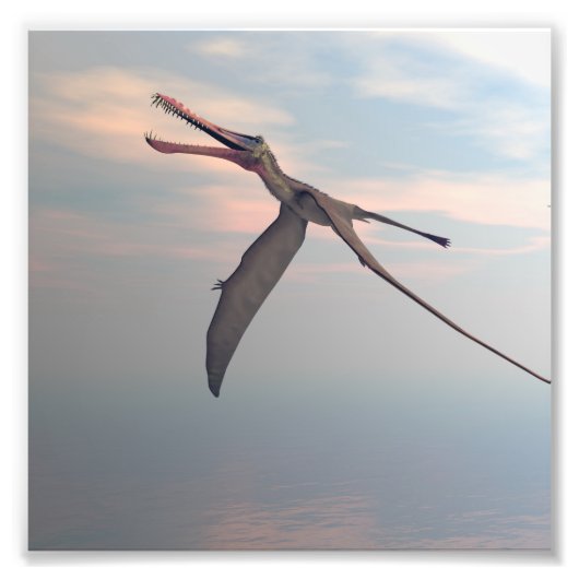 Anhang Urvogel Fotodruck (Vorne)