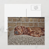 Anhänger Postkarte (Vorne/Hinten)