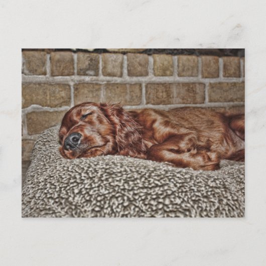 Anhänger Postkarte (Vorderseite)