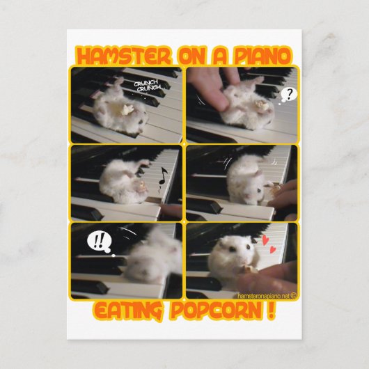 Anhänger Postkarte (Vorderseite)