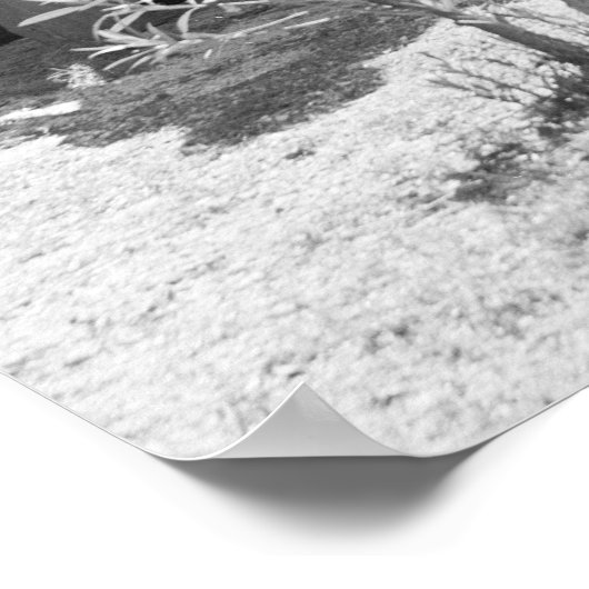 Anhängerparkband: 1914 poster (Ecke)