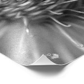 anhänglich - Premium Fotodruck Satin schwarzweiß (Ecke)