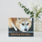 Anheben der Bar Corgi-Postkarte Postkarte (Stehend Vorderseite)