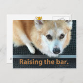 Anheben der Bar Corgi-Postkarte Postkarte (Vorne/Hinten)