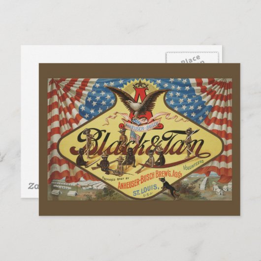 ANHEUSER-BUSH Black & Tan Postkarte (Vorne/Hinten)