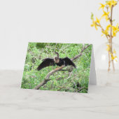 Anhinga (0071) Grußkarte Karte (Gelbe Blume)