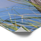 Anhinga am Teich Poster (Ecke)