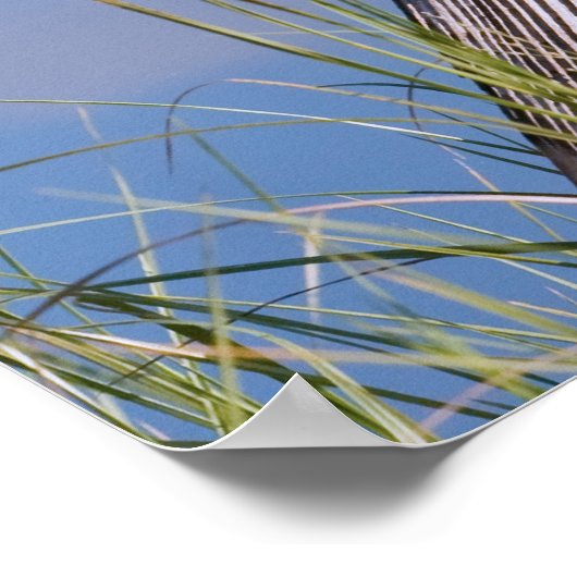 Anhinga am Teich Poster (Ecke)