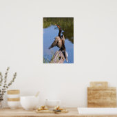 Anhinga am Teich Poster (Küche)