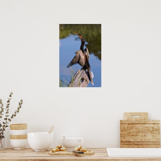 Anhinga am Teich Poster (Küche)