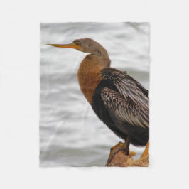 Anhinga auf der Lauer Fleecedecke