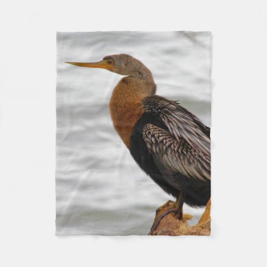 Anhinga auf der Lauer Fleecedecke (Vorderseite)