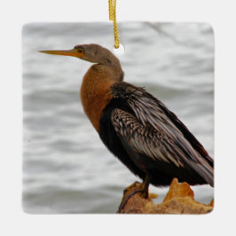Anhinga auf der Lauer Keramikornament