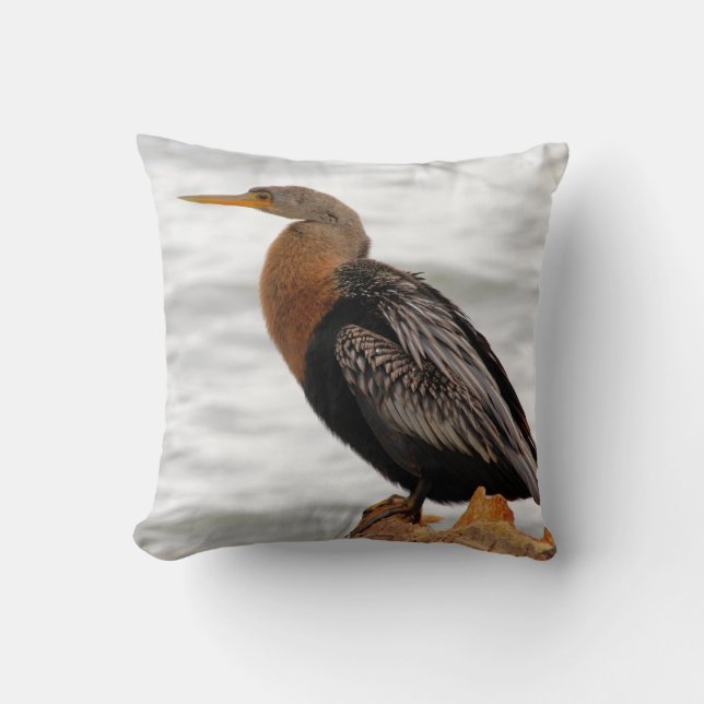 Anhinga auf der Lauer Kissen (Vorderseite)