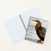 Anhinga auf der Lauer Notizblock (Innenseite)