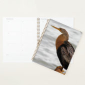 Anhinga auf der Lauer Planer (Anzeige)