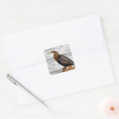 Anhinga auf der Lauer Quadratischer Aufkleber (Umschlag)