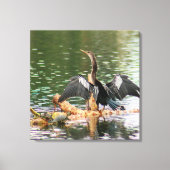 Anhinga Bird Canvas Print Leinwanddruck (Vorderseite)