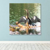 Anhinga Bird Canvas Print Leinwanddruck (Insitu (Holzboden))