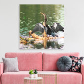 Anhinga Bird Canvas Print Leinwanddruck (Insitu (Wohnzimmer))