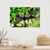 Anhinga bird, Everglades National Park, FL Poster (Küche)