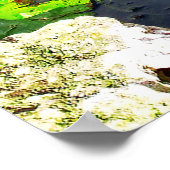 Anhinga bird, Everglades National Park, FL Poster (Ecke)