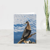 Anhinga Bird Foto Blank Note Card (Vorderseite)
