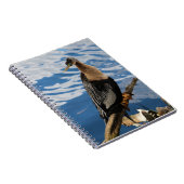 Anhinga Bird Foto Spiral Notebook Notizblock (Rechte Seite)