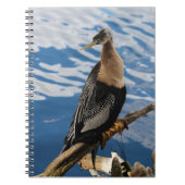 Anhinga Bird Foto Spiral Notebook Notizblock (Vorderseite)