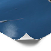 Anhinga Bird Poster (Ecke)