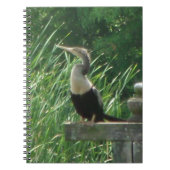 Anhinga Bird Spiral Foto Notebook Notizblock (Vorderseite)
