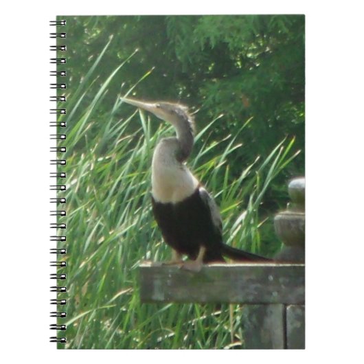 Anhinga Bird Spiral Foto Notebook Notizblock (Vorderseite)