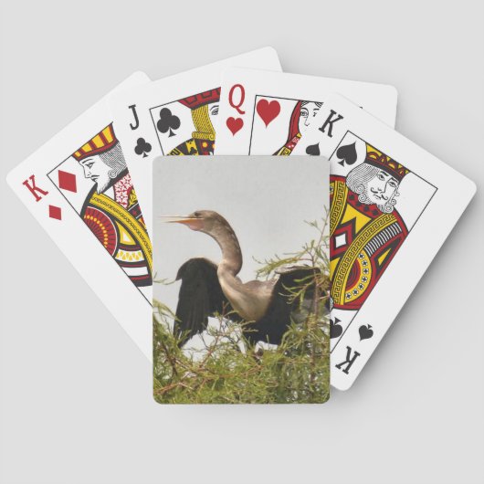 Anhinga Bird Standard Playing Cards Spielkarten (Rückseite)