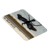 Anhinga Everglades-Nationalpark Magnet (Rechte Seite)
