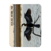 Anhinga Everglades-Nationalpark Magnet (Vertikal)
